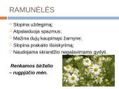 Lietuviškų vaistažolių arbata 10 puslapis