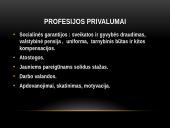 Policininko profesija 7 puslapis