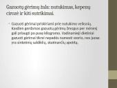 Gazuotų gėrimų žala 2 puslapis