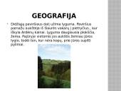 Belgija ir Briuselis 11 puslapis