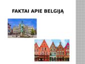 Belgija ir Briuselis 12 puslapis