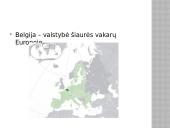 Belgija ir Briuselis 3 puslapis