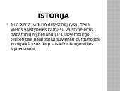 Belgija ir Briuselis 5 puslapis