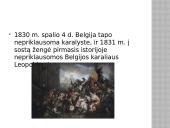 Belgija ir Briuselis 7 puslapis