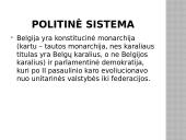 Belgija ir Briuselis 8 puslapis