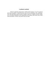 Makulatūros perdirbimas 8 puslapis