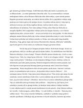 Kodėl žmogui svarbi tėvynė? (Marcinkevičius, Maironis, Baranauskas) 2 puslapis