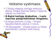 Apsakymo ,,Marti” siužetas 8 puslapis