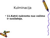 Apsakymo ,,Marti” siužetas 9 puslapis