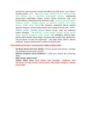 Romantizmas: Baranauskas ir Kudirka 2 puslapis