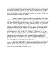 Gyvenimo prasmė: filosofija 3 puslapis