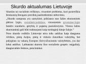 Analizė: skurdas ir pajamų nelygybė Lietuvoje 2 puslapis