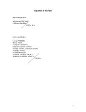 Mano šeimos biudžetas ir finansinė padėtis 7 puslapis