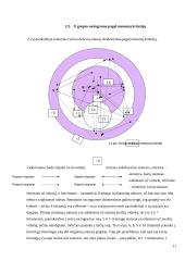 Sociometrinis grupės tyrimas ir tyrimo aprašymas 12 puslapis