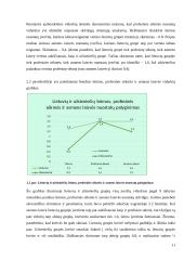 Nuostatų įvertinimas naudojantis semantinio diferencialo skale 12 puslapis