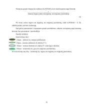 Sociometrinis grupės ištyrimas 10 puslapis