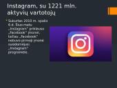 Viešosios e. paslaugos: socialiniai tinklai 13 puslapis