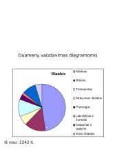Matematikos projektas. Mano šeimos biudžetas 4 puslapis