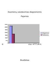 Matematikos projektas. Mano šeimos biudžetas 5 puslapis