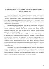 Marketingo komplekso studija: "Arena Pizza" 17 puslapis