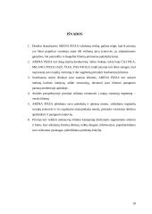 Marketingo komplekso studija: "Arena Pizza" 18 puslapis