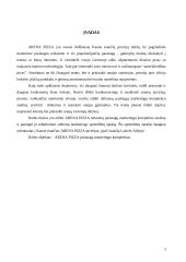 Marketingo komplekso studija: "Arena Pizza" 3 puslapis