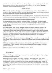 Literatūros rašinių temų apžvalgos 11 puslapis