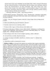 Literatūros rašinių temų apžvalgos 13 puslapis