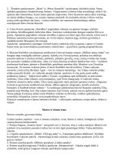 Literatūros rašinių temų apžvalgos 14 puslapis