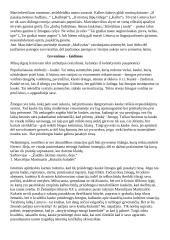 Literatūros rašinių temų apžvalgos 16 puslapis