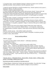 Literatūros rašinių temų apžvalgos 17 puslapis