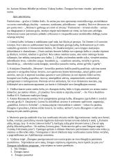 Literatūros rašinių temų apžvalgos 4 puslapis