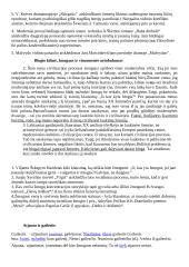 Literatūros rašinių temų apžvalgos 7 puslapis