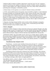 Literatūros rašinių temų apžvalgos 9 puslapis