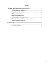 Matematikos mokymo organizavimas