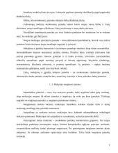 Matematikos mokymo organizavimas 3 puslapis