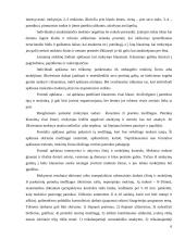 Matematikos mokymo organizavimas 6 puslapis