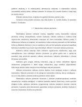 Matematikos mokymo organizavimas 7 puslapis