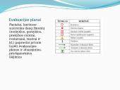 Evakuacija ir didžiausios evakuacijos pasaulyje 5 puslapis