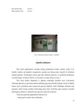 Medienos dangų sudarymo ir sukietinimo būdai 11 puslapis