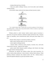 Medienos dangų sudarymo ir sukietinimo būdai 12 puslapis