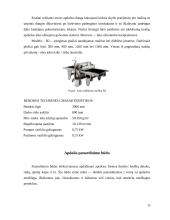 Medienos dangų sudarymo ir sukietinimo būdai 13 puslapis