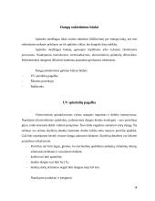 Medienos dangų sudarymo ir sukietinimo būdai 18 puslapis