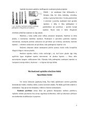 Medienos dangų sudarymo ir sukietinimo būdai 4 puslapis