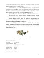 Medienos dangų sudarymo ir sukietinimo būdai 10 puslapis