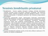 Terasinė žemdirbystė  8 puslapis