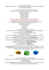 Chemijos užrašai 12 puslapis