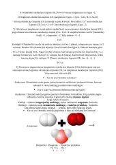 Chemijos užrašai 6 puslapis