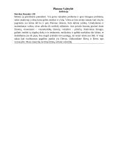 Platono "Valstybės" refleksija 2 puslapis