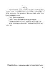 Mergaitės ir merginos socializacija 3 puslapis